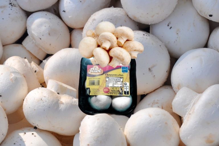 Champignons de Paris Ruol
