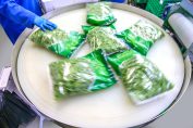 Des sachets de salade dans une usine de conditionnement