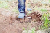 Un homme en train de creuser un trou