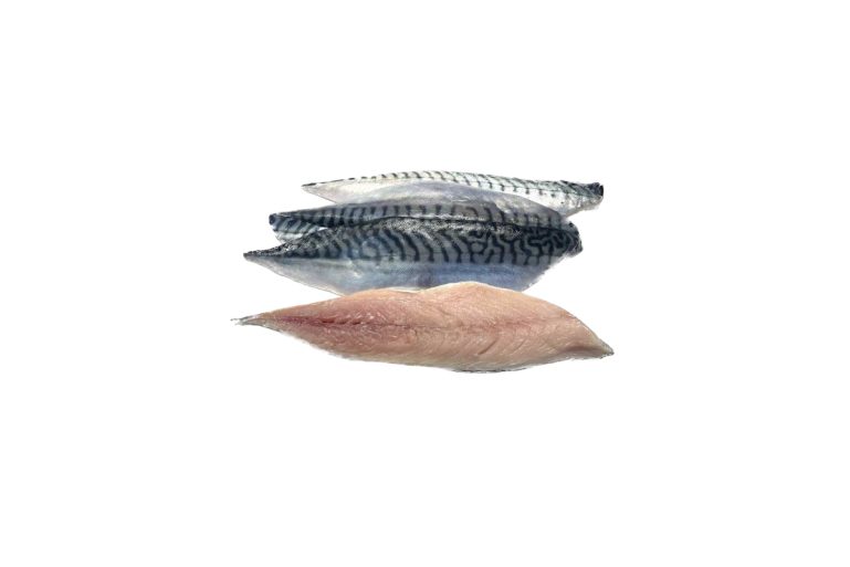 Maquereaux chez Carrefour, U, Intermarché, E. Leclerc