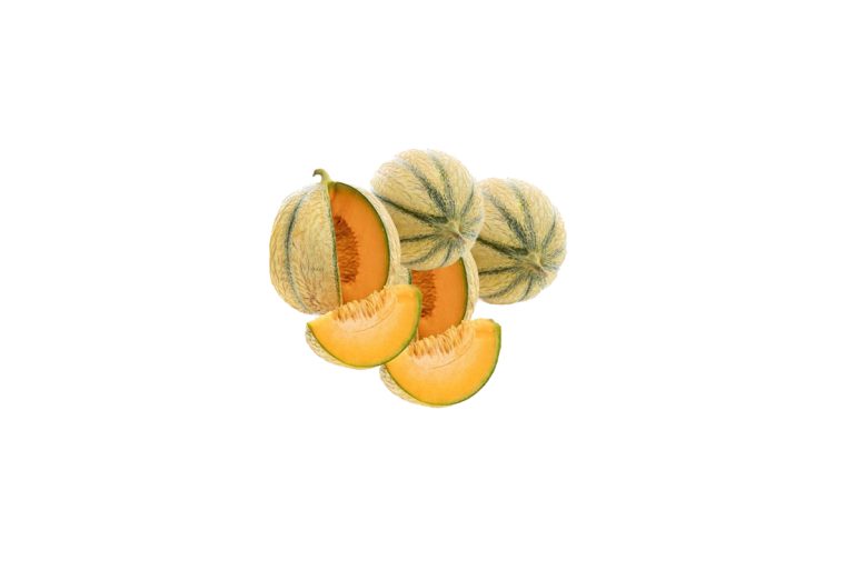 Melons Terragaia chez E. Leclerc