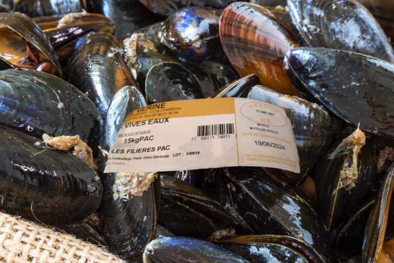 moules_verine_vives_eaux_234