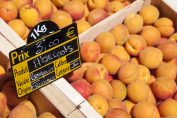 Des abricots origine France sur un étal de marché