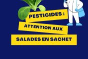 Pesticides : attention aux salades en sachet