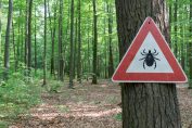Un panneau de signalisation de la présence de tiques en forêt