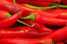 mini piments thaïs