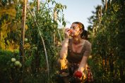 Une maraîchère sent une tomate dans sa plantation