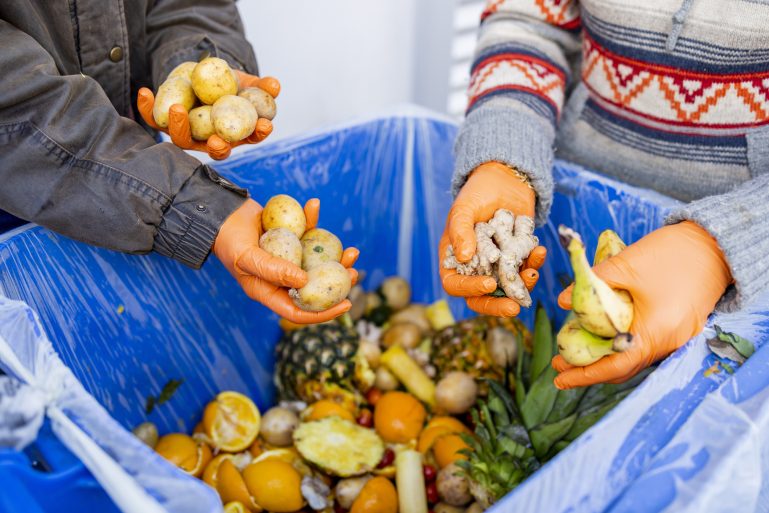 Quatre mains dans une poubelle pleine de fruits et légumes