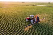 Pulvérisation de pesticide avec un tracteur dans un champs de soja