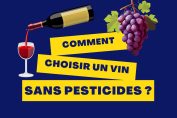 "Comment choisir un vin sans pesticides ?"