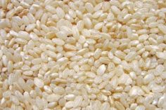 Riz rond demi-complet de Camargue Biosud