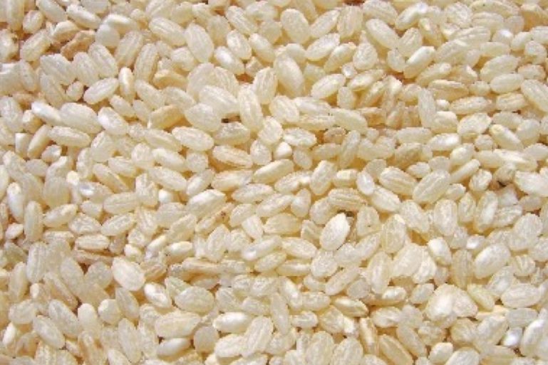 Riz rond demi-complet de Camargue Biosud 