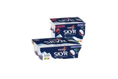 Skyr myrtilles et panaché fruits rouges