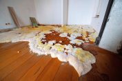 Une maison infestée par la mérule