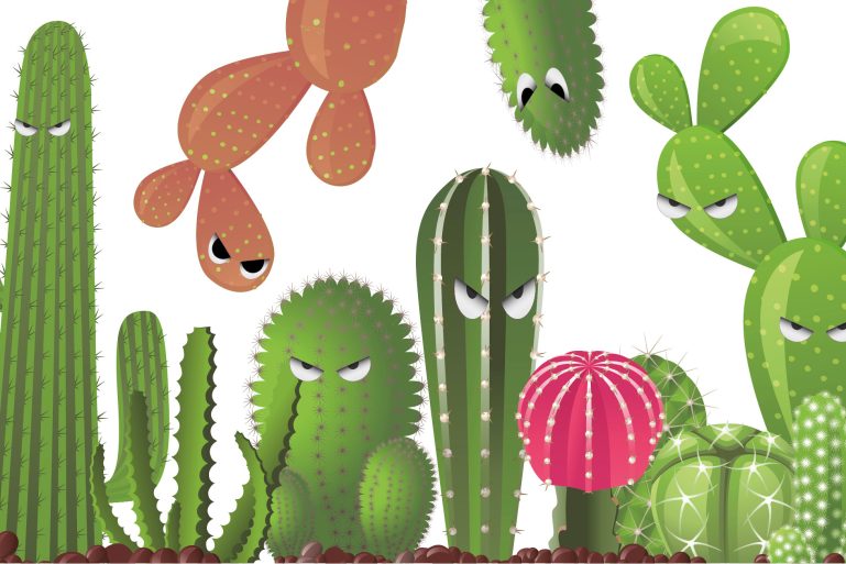 Les cactus de la consommation 2025
