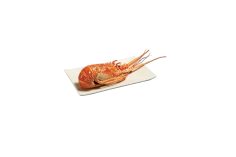 Langouste blanche cuite U