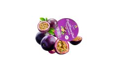 Fruits de la passion Ant Farm