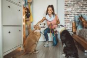 Une jeune femme caresse des chiens
