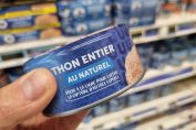 Boîte de thon entier au naturel dans un rayon de supermarché