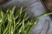 Botte d'asperges des bois sur une planche à découper
