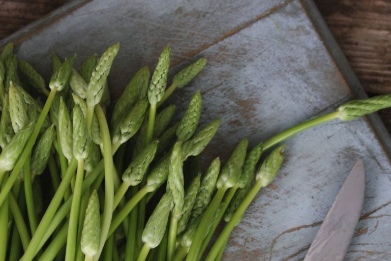 Botte d'asperges des bois sur une planche à découper