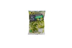 Feuilles de chêne Carrefour