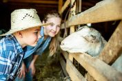 Des enfants à la ferme