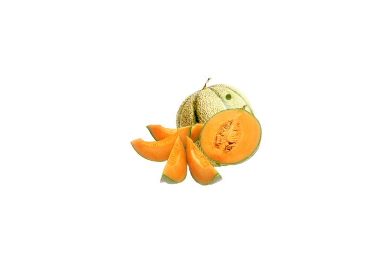 Melon charentais d'Espagne « boule de miel » 