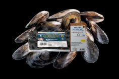 Moules de bouchot