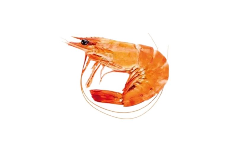 Crevettes cuites E.Leclerc