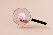 Un cochon figurant des économies