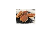 Coquilles saint jacques de brest
