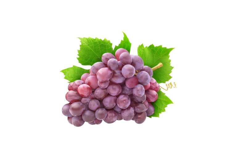 Raisin de table rose