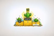 cactus_60_millions_jaune