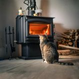 Un chat devant un poele à bois