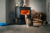 Un chat devant un poele à bois