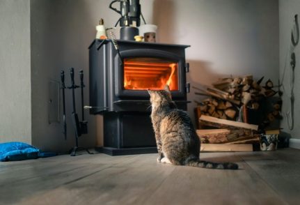 Un chat devant un poele à bois