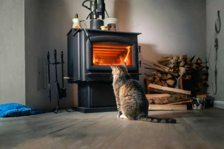 Un chat devant un poele à bois