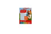 Snack pour chiens Dog